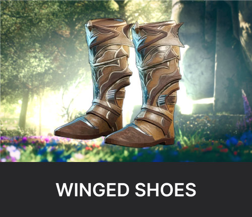 Winged Leather Shoes Artifact